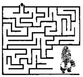 Skunk Maze
